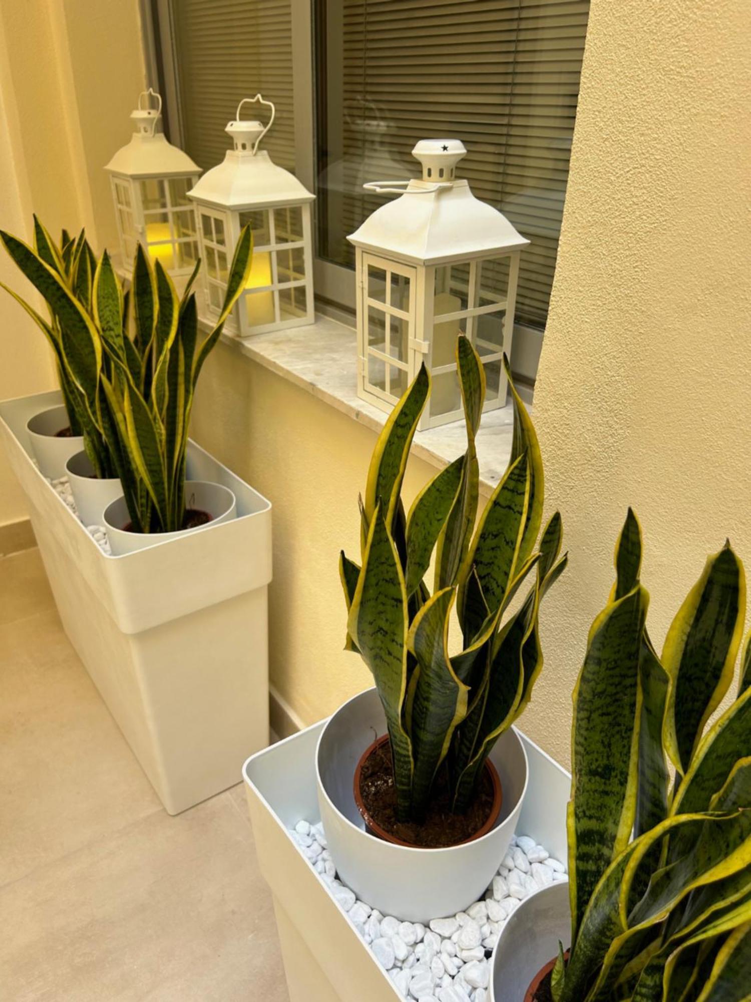 Hotel Casa Lounge Costituzione Cagliari Exteriér fotografie